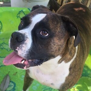 Meet your Posher, Jill